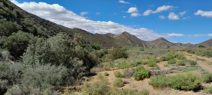 Commercial Property for Sale in Montagu Rural Western Cape